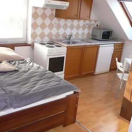 Apartments U Cara Ceske Budejovice Oda fotoğraf